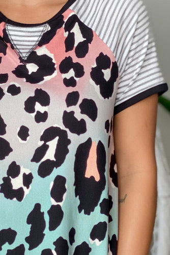 Striped Leopard Rainbow Top