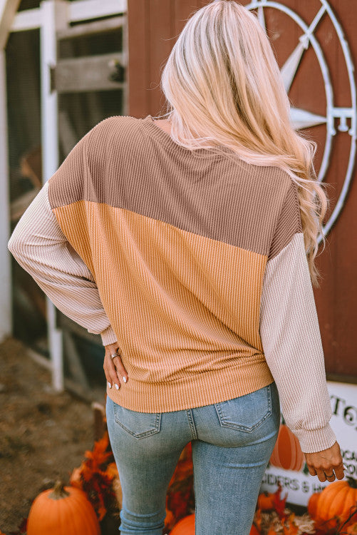 Ripped Longsleeve Top