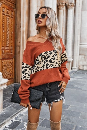 Leopard sweater v neck