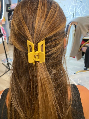 Claw Clip