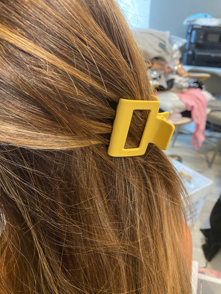 Claw Clip